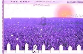 母油和老抽的区别在哪？