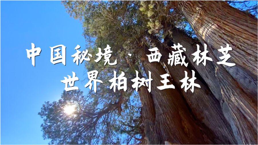 蓝狐视频