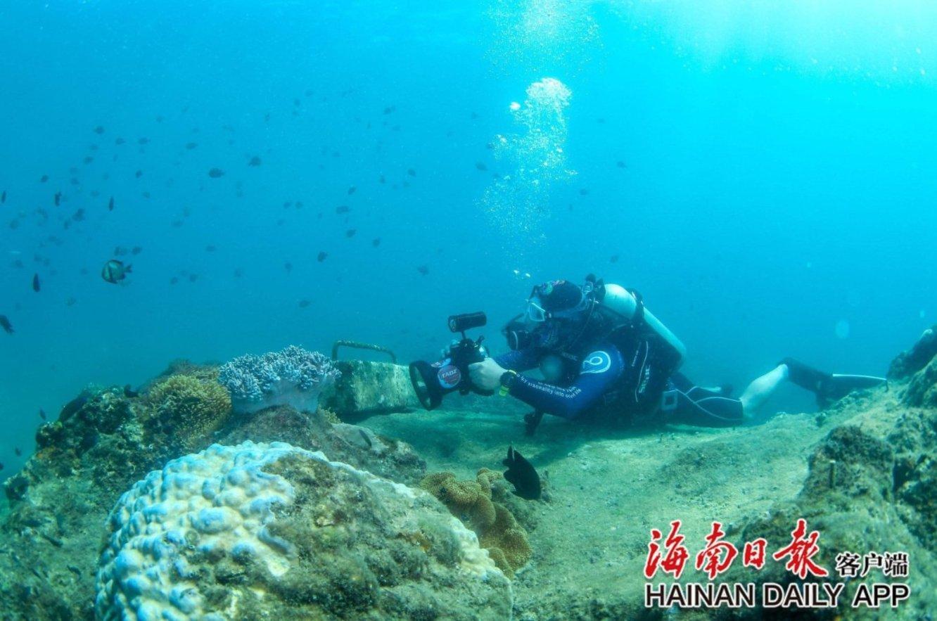 迷你忍者